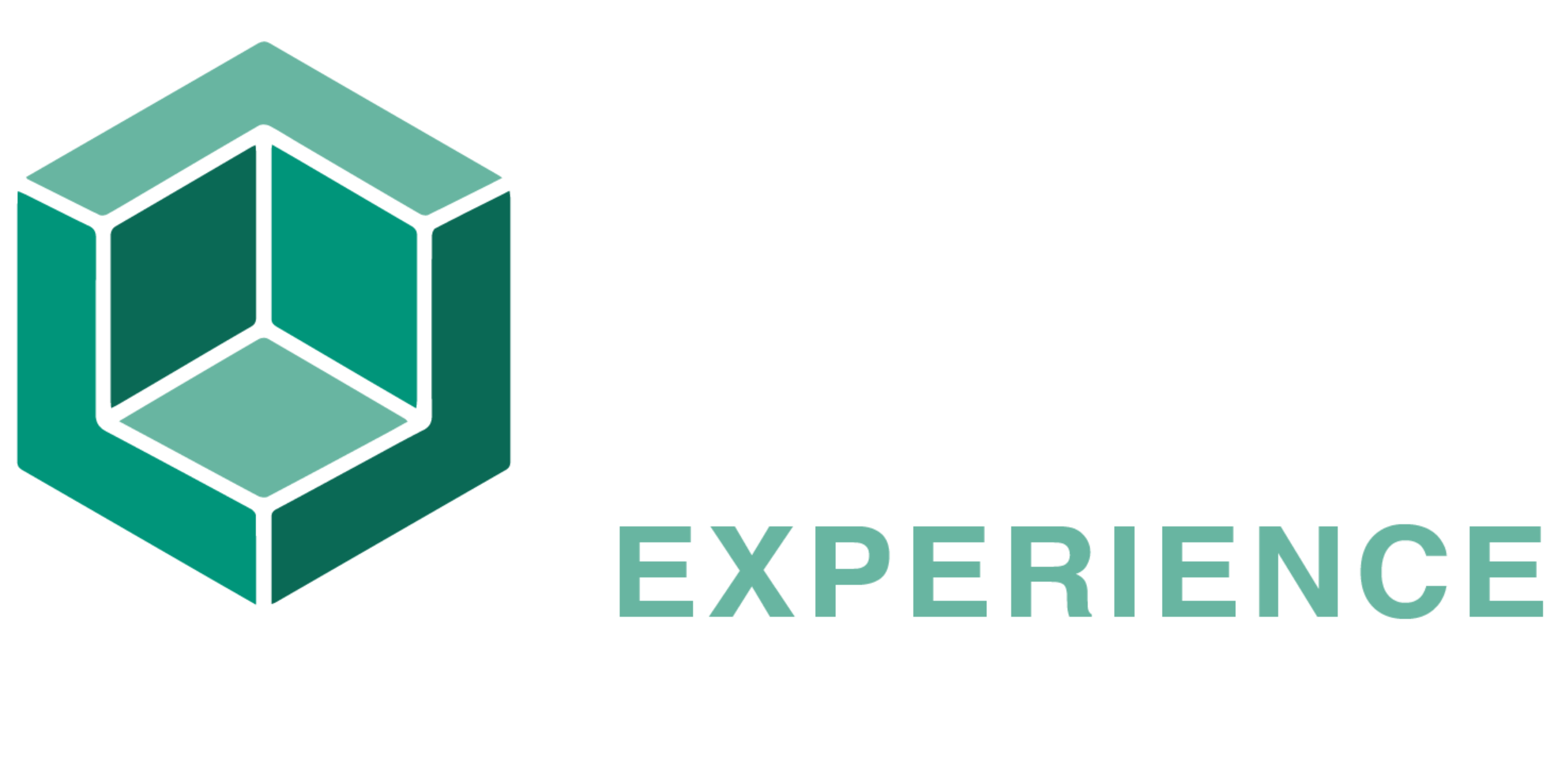 Experience